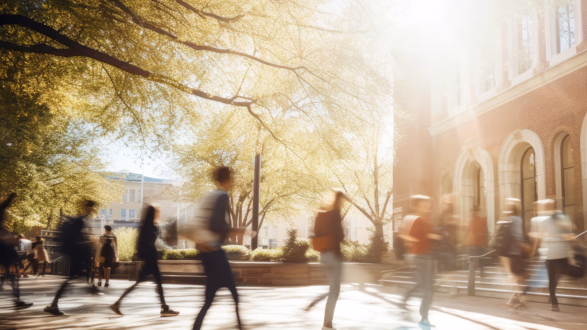 university