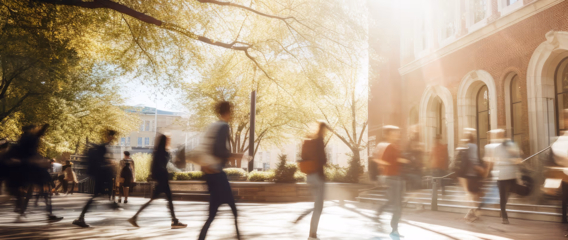 university